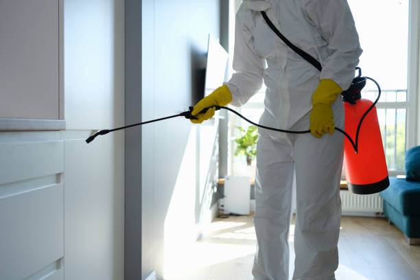 Best Commercial Mold Removal  in Hwatha, IA