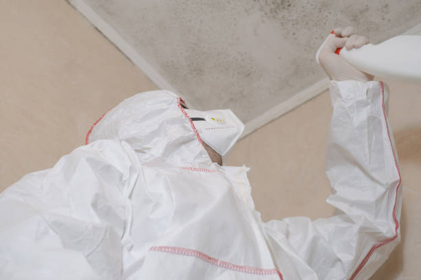 Best Crawl Space Mold Removal  in Hwatha, IA